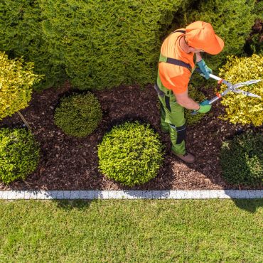 excel pest solutions garden maintenance